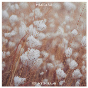 1024手机看片视频在线观看免费
